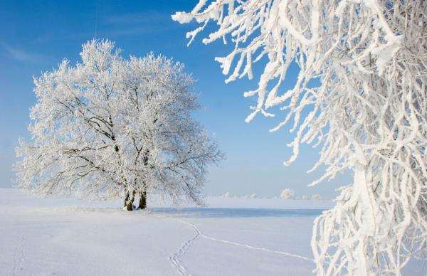 武漢美博會之武漢雪景